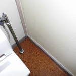 トイレ内部壁面に発生したカビ処理です。