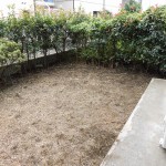 除草、草刈作業です。