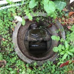 排水管洗浄です。(枡の詰まり）(横浜市）